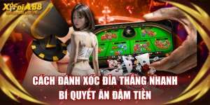 Cách Đánh Xóc Đĩa Thắng Nhanh - Bí Quyết Ăn Đậm Tiền