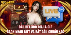 Cầu Bệt Xóc Đĩa Là Gì? Cách Nhận Biết Và Bắt Cầu Chuẩn Xác