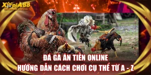 Đá Gà Ăn Tiền Online - Hướng Dẫn Cách Chơi Cụ Thể Từ A - Z
