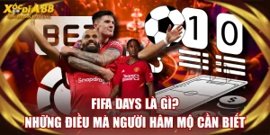 FIFA Days Là Gì? Những Điều Mà Người Hâm Mộ Cần Biết