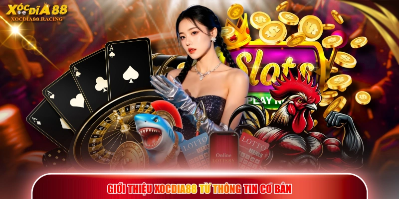 Giới Thiệu XOCDIA88 - Sân Chơi Giải Trí Đón Đầu Xu Hướng 1 Giới thiệu XOCDIA88 từ thông tin cơ bản