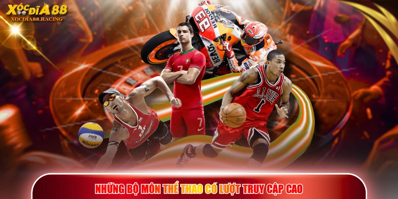 Những bộ môn thể thao có lượt truy cập cao