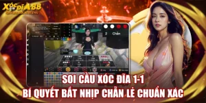 Soi Cầu Xóc Đĩa 1-1 - Bí Quyết Bắt Nhịp Chẵn Lẻ Chuẩn Xác